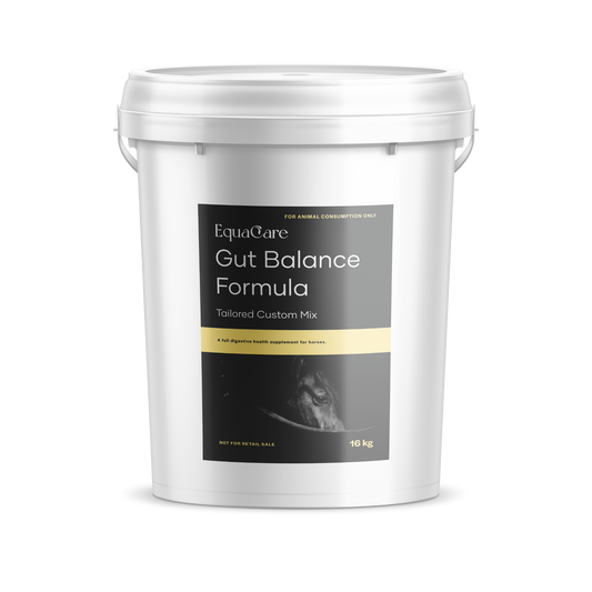 EquaCare Custom Mix Gut Balance Formula 16kg